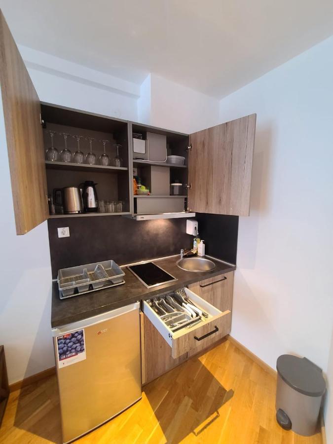 Appartamento Beli Vuk - Brzece, Kopaonik Esterno foto